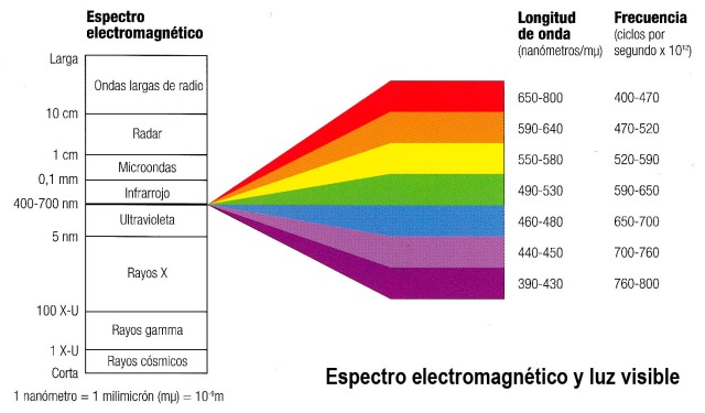 Figura3 . Espectro de luz visible